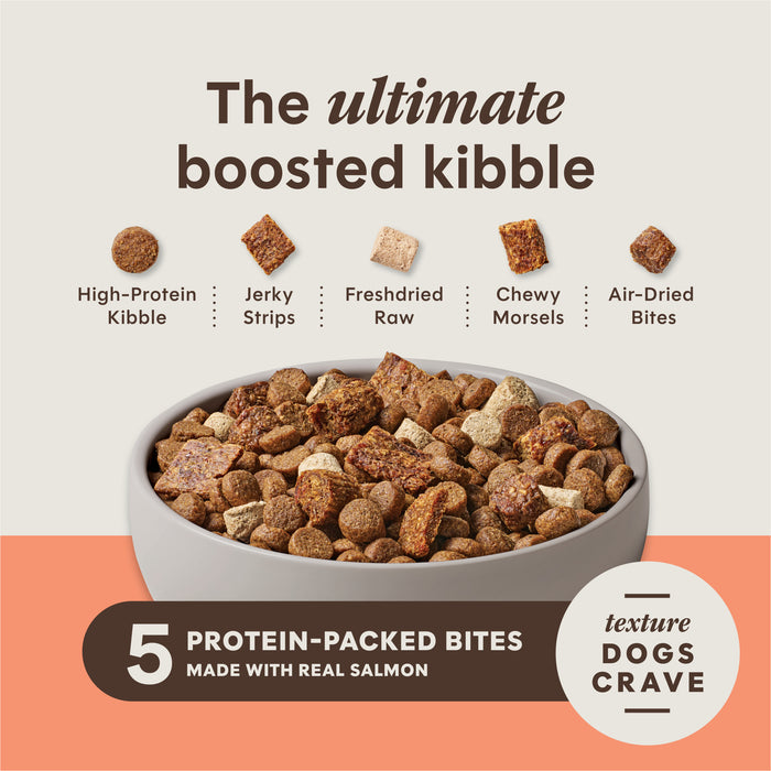 PeakBoost+ Kibble Real Salmon Recipe