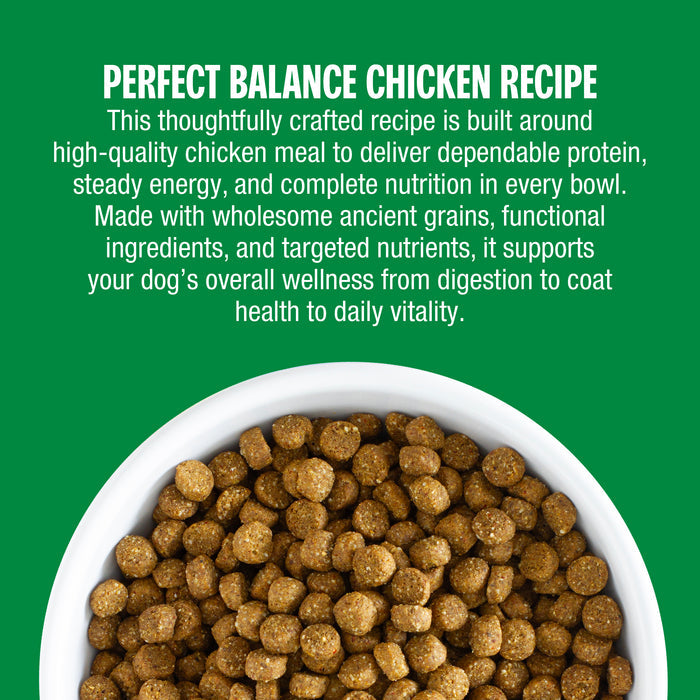 Perfect Balance Chicken Meal Recipe with Ancient Grains Dog Food kibble with ancient grains for everyday wellness.