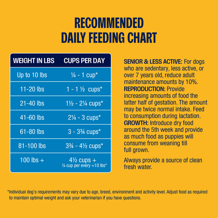 A chart showing recommended daily food portions for dogs, organized by weight, with additional guidance for senior dogs and growth stages, displayed on a yellow background.