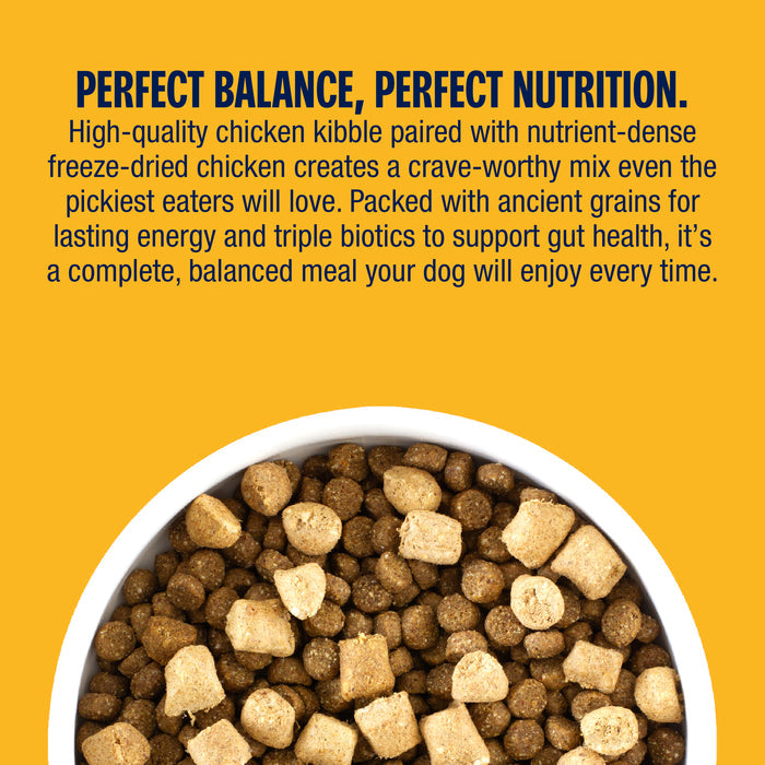 Dog food in a bowl with text about perfect balance and nutrition on a yellow background