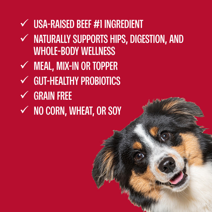 Dog with text listing benefits on a red background