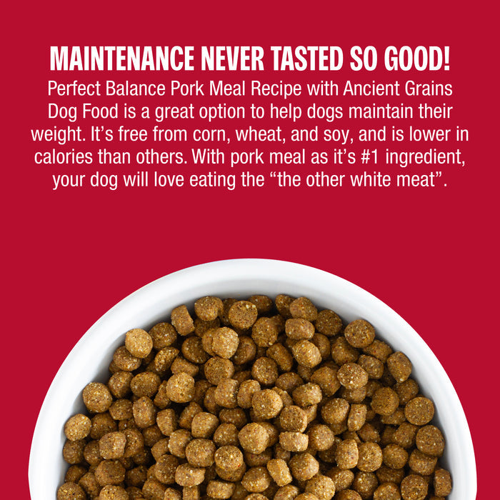 Perfect Balance Pork Meal Recipe with Ancient Grains Dog Food for everyday wellness