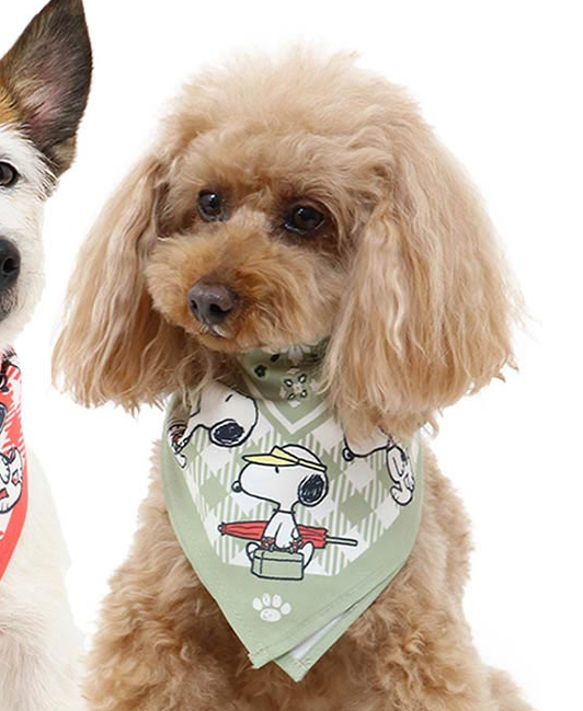 Pet Paradise Peanuts Dog Bandana