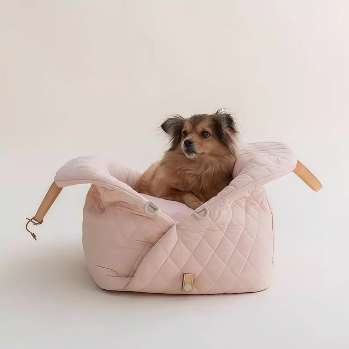 Pet Travel Carrier