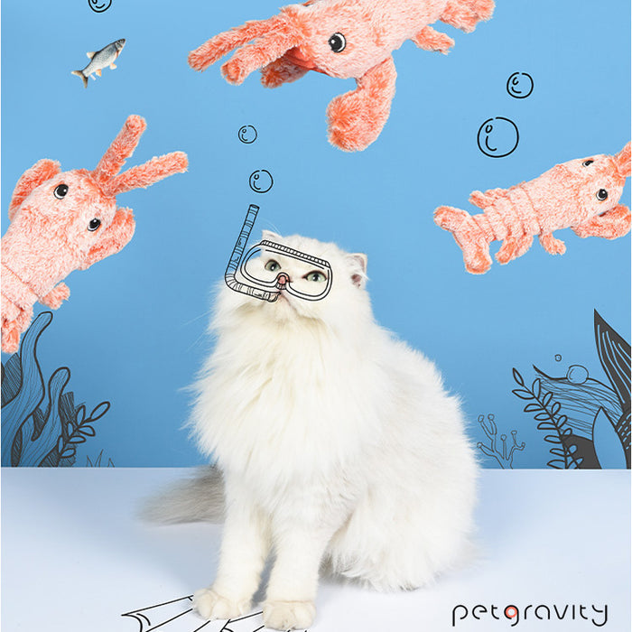 PetGravity Dancing Lobster