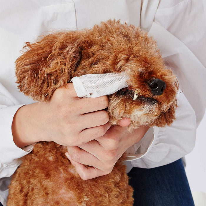 Petio Pet Dental Teeth Wet Wipes