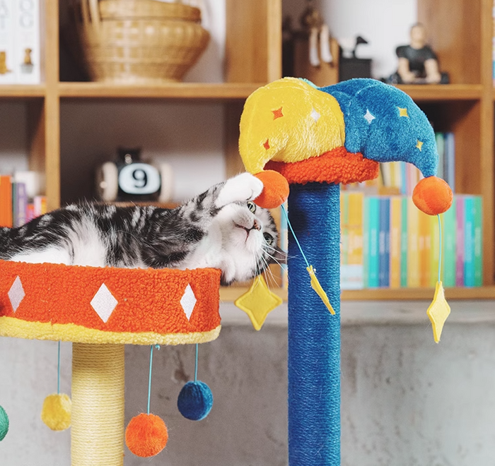 Petsville Carnival Bed&Scratcher