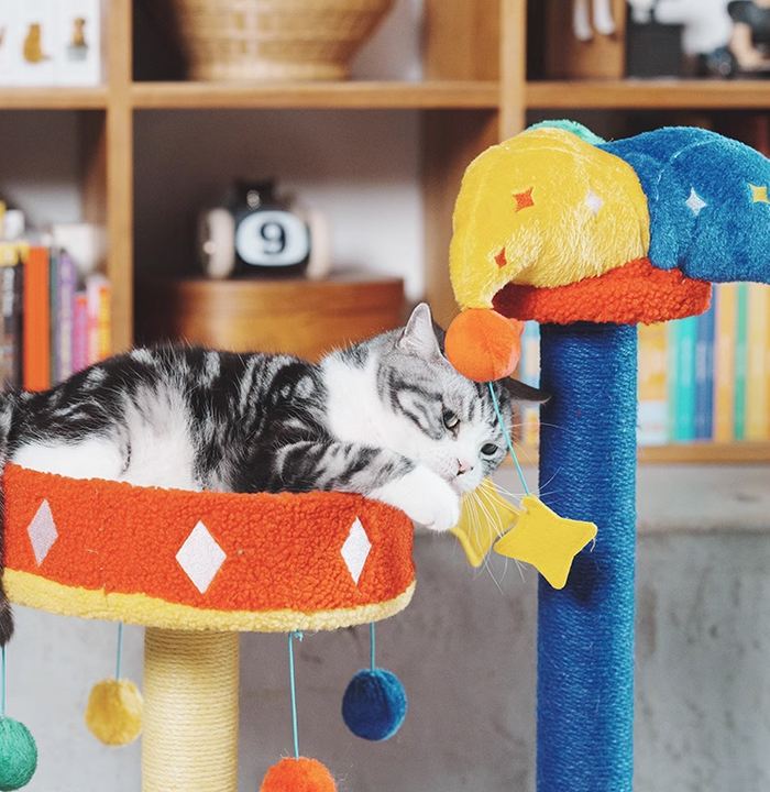 Petsville Carnival Bed&Scratcher
