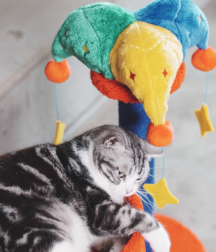 Petsville Carnival Bed&Scratcher