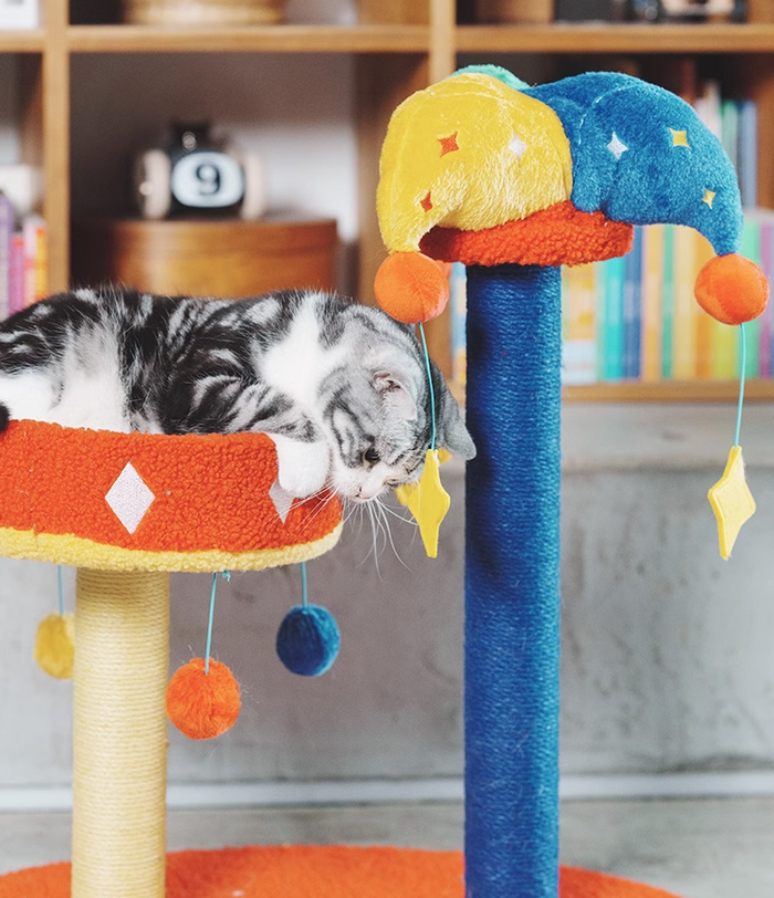Petsville Carnival Bed&Scratcher