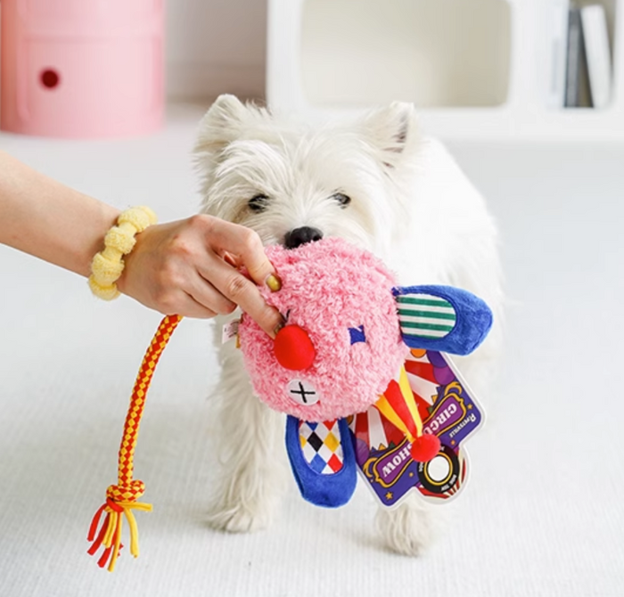 Petsville Carnival Series Dog Toy