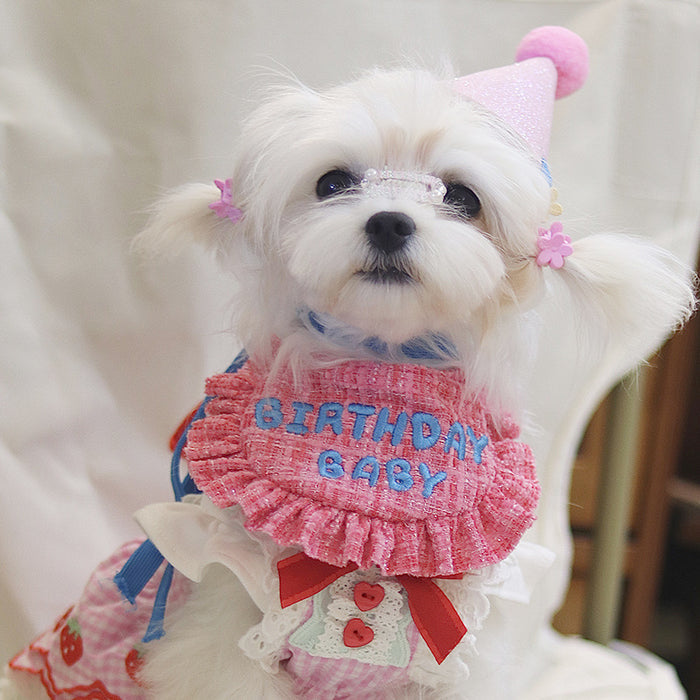 Pink Dream Birthday Bib Set