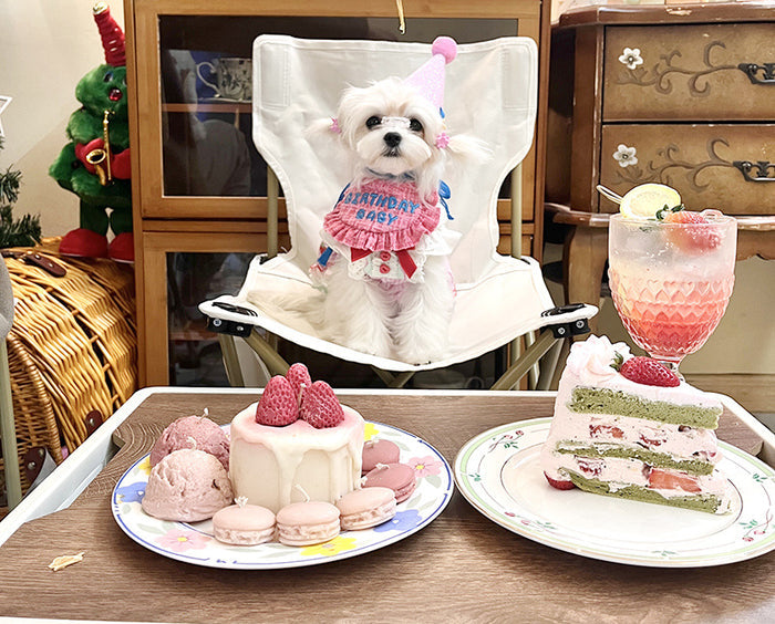 Pink Dream Birthday Bib Set