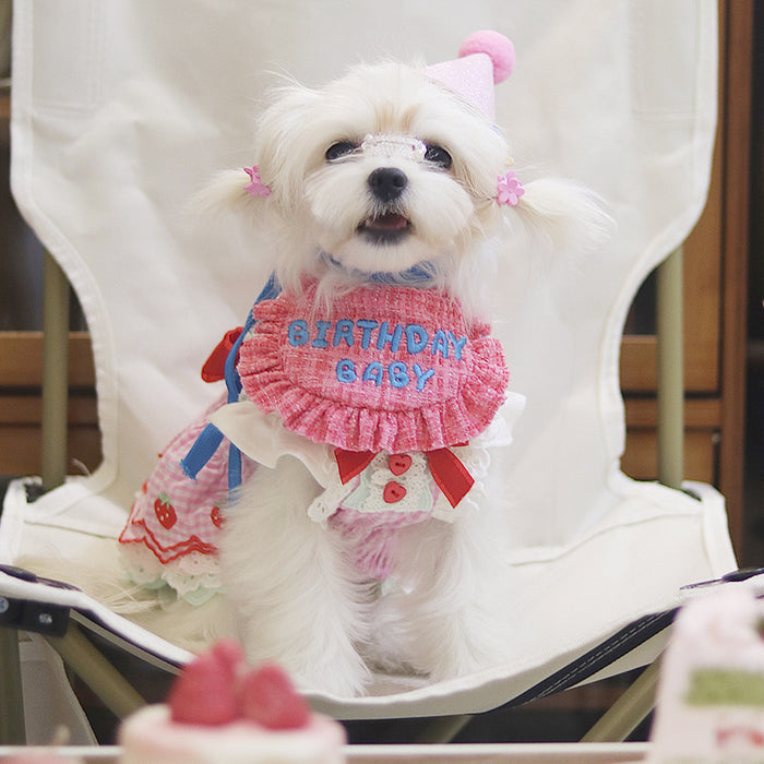 Pink Dream Birthday Bib Set