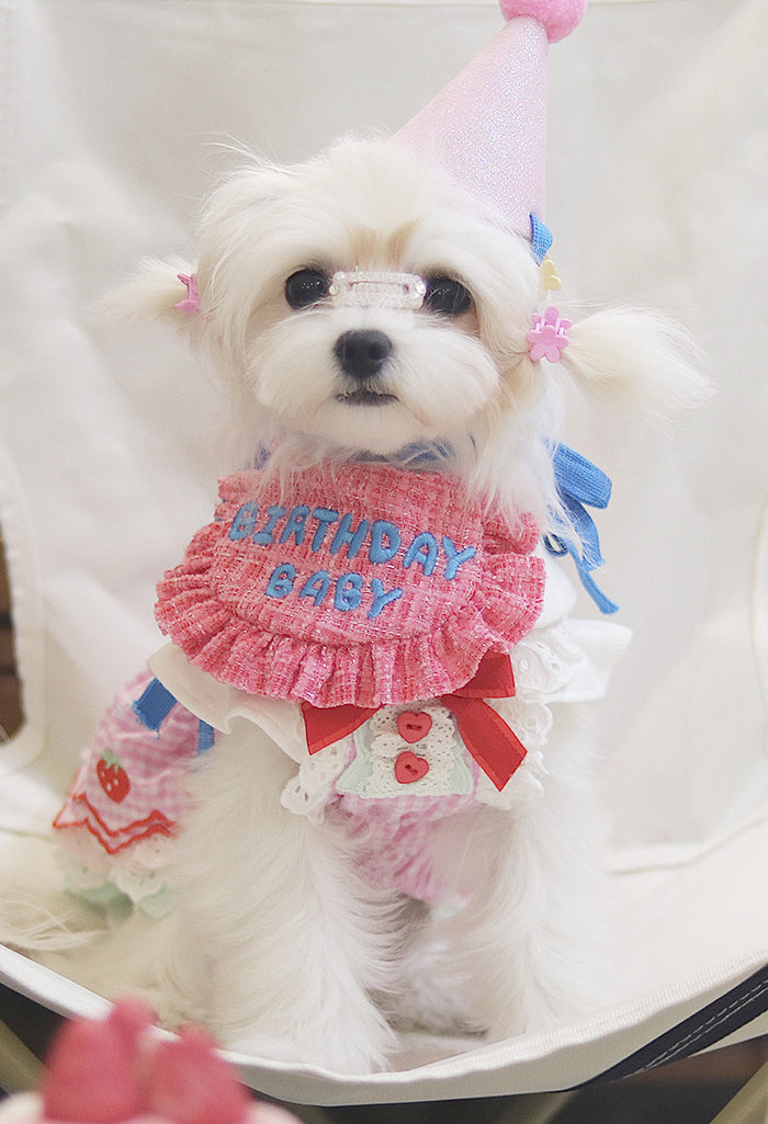 Pink Dream Birthday Bib Set