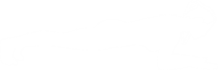 Plank Pose Vinyl Decal