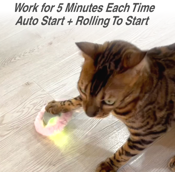 RabbitRunRun LED Smart Wheel Speedy Toy