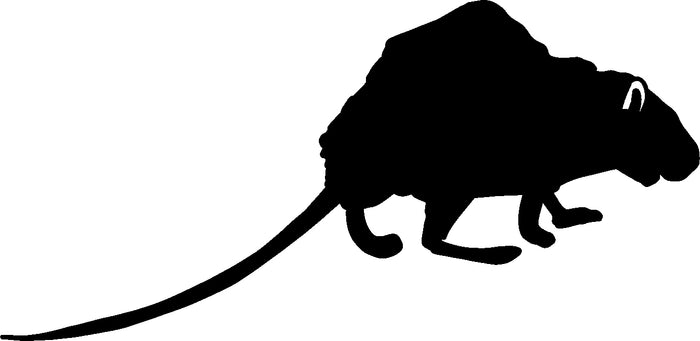 Rat Vinyl Decal
