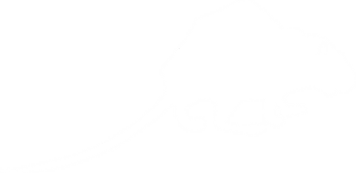 Rat Vinyl Decal