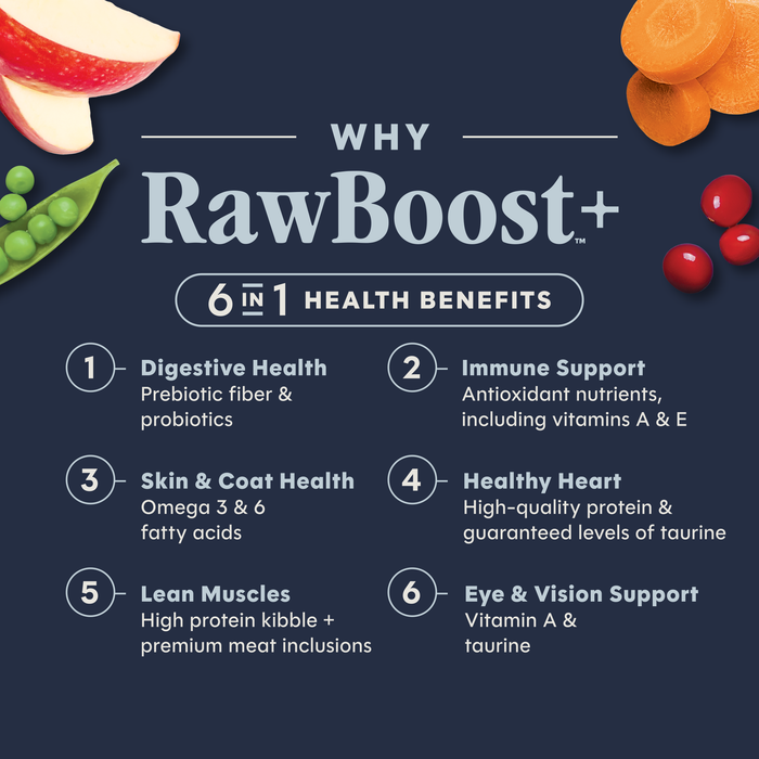 Raw Boost Kibble Real Salmon Recipe