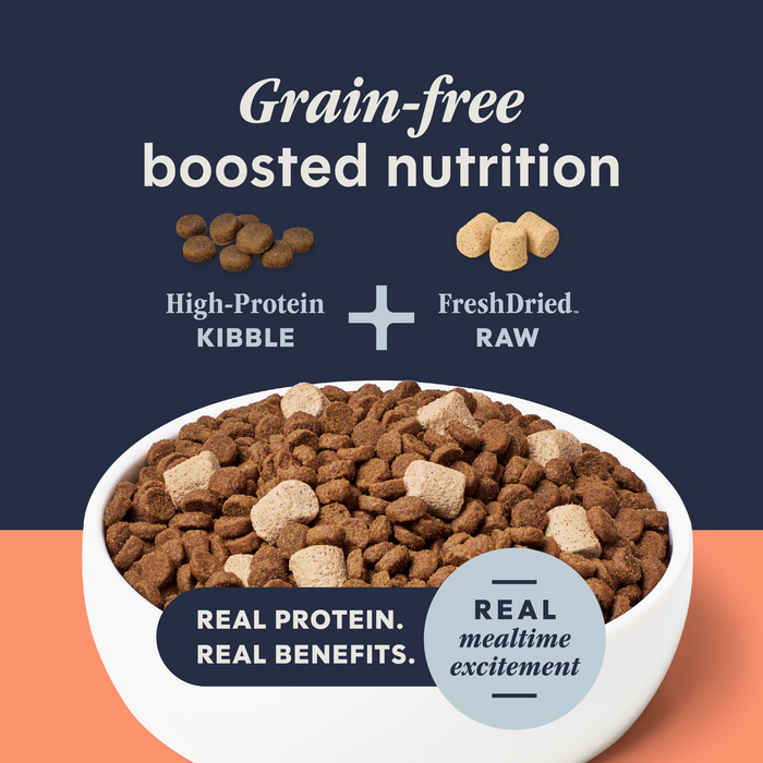 Raw Boost Kibble Real Salmon Recipe