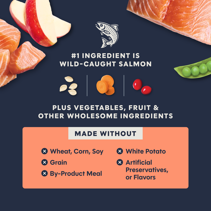 Raw Boost Kibble Real Salmon Recipe