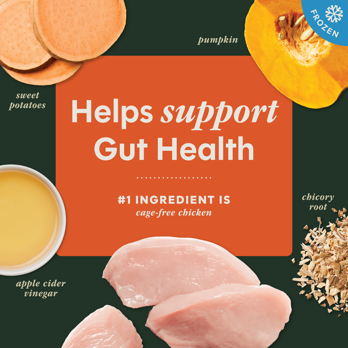RawBoost+ Frozen Mixers Gut Health Recipe