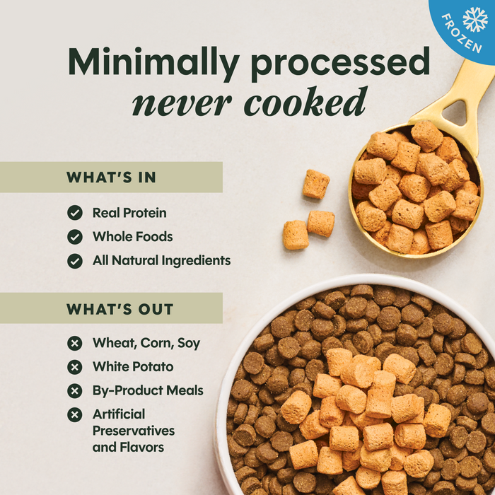 RawBoost+ Frozen Mixers Gut Health Recipe