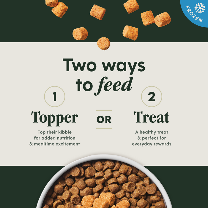 RawBoost+ Frozen Mixers Gut Health Recipe