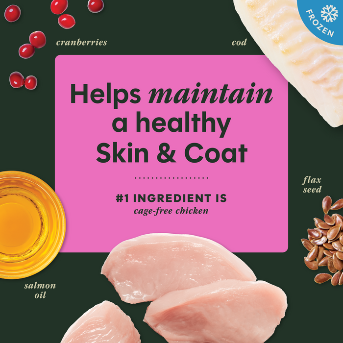 RawBoost+ Frozen Mixers Skin & Coat Health Recipe