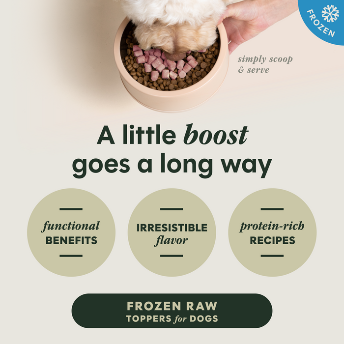 RawBoost+ Frozen Mixers Skin & Coat Health Recipe