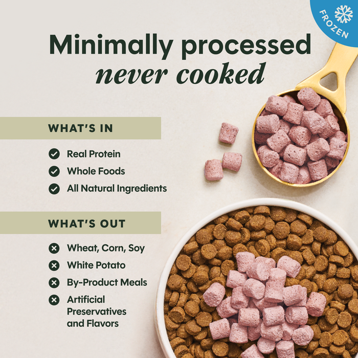 RawBoost+ Frozen Mixers Skin & Coat Health Recipe