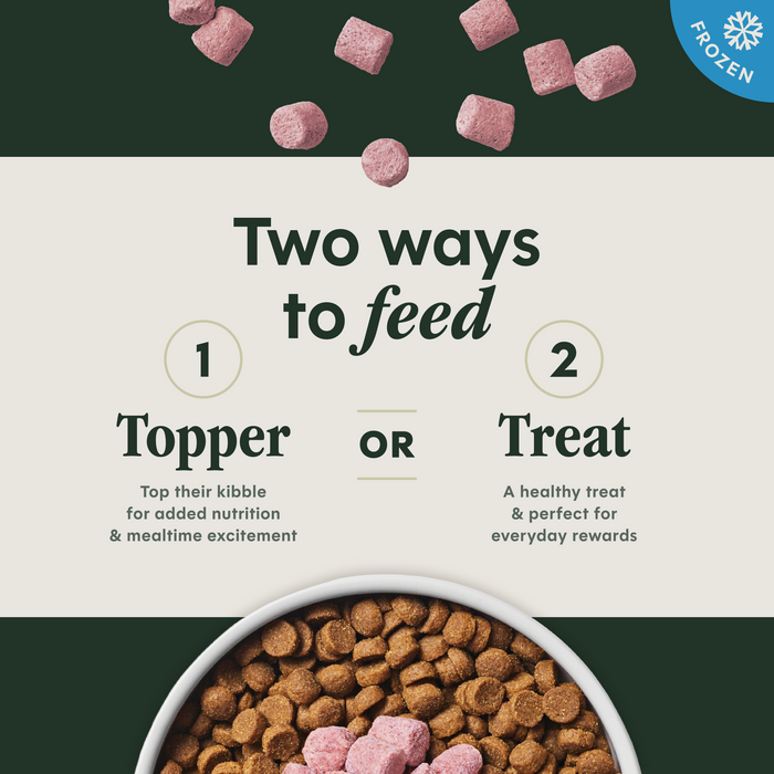 RawBoost+ Frozen Mixers Skin & Coat Health Recipe