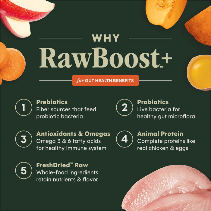 RawBoost+ Kibble Gut Health Recipe