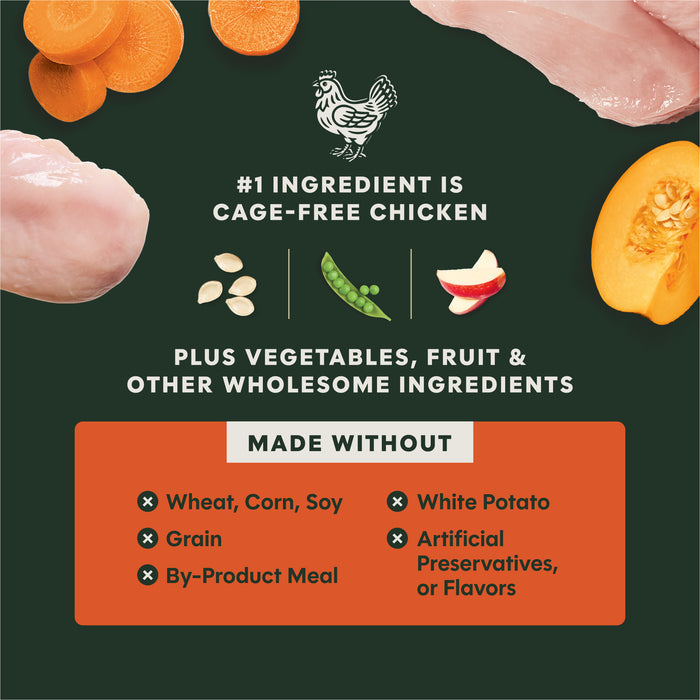 RawBoost+ Kibble Gut Health Recipe