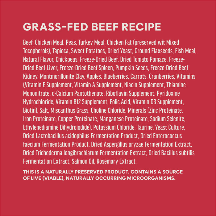 RawBoost+ Kibble Real Beef Recipe
