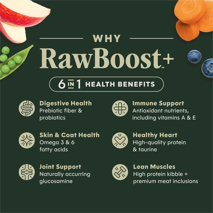 RawBoost+ Kibble Real Salmon Recipe