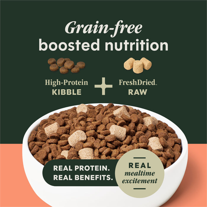 RawBoost+ Kibble Real Salmon Recipe