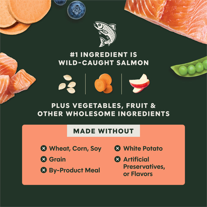 RawBoost+ Kibble Real Salmon Recipe
