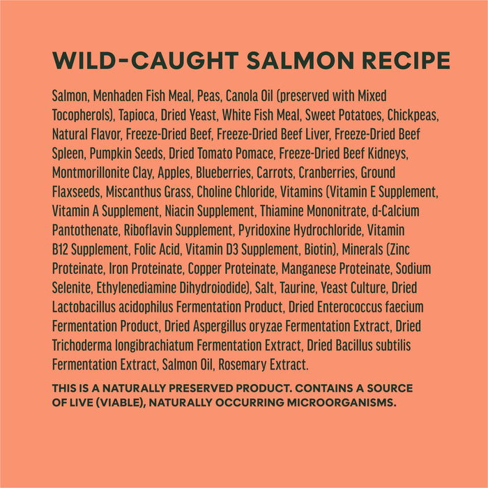 RawBoost+ Kibble Real Salmon Recipe