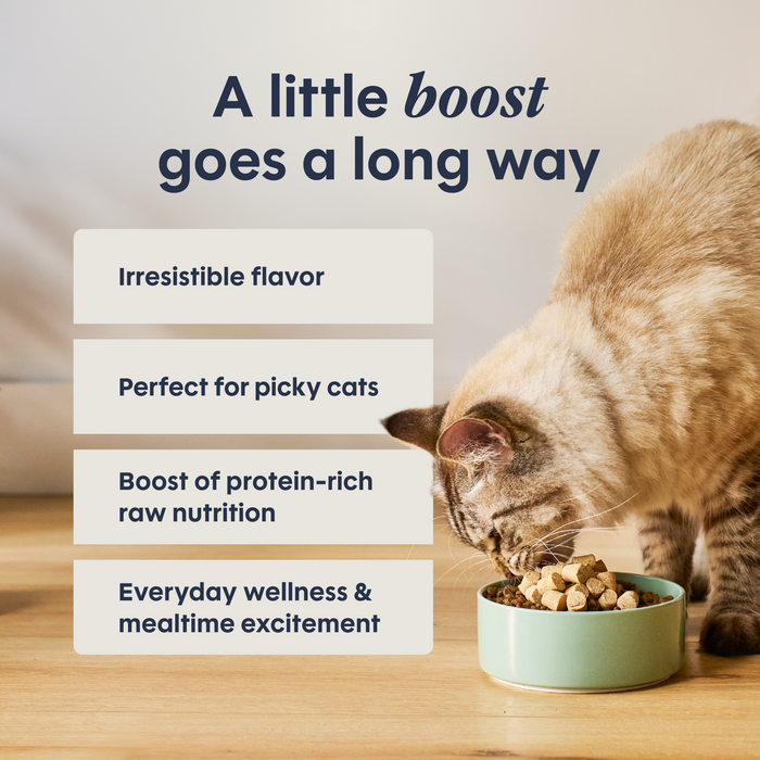 RawBoost+ Mixers Cage-Free Chicken Recipe