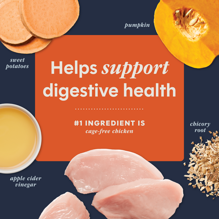 RawBoost+ Mixers Digestive Health Recipe