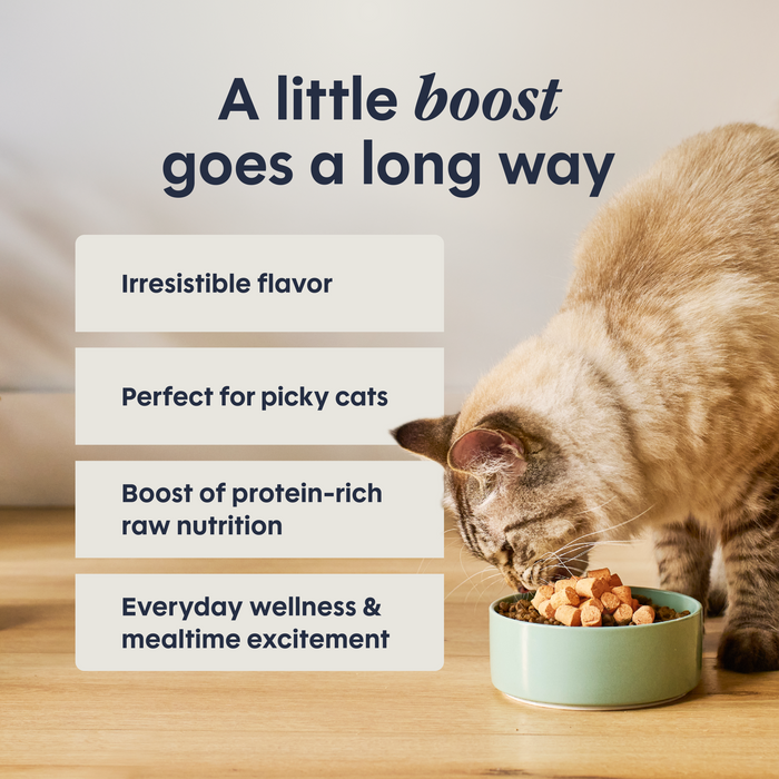 RawBoost+ Mixers Digestive Health Recipe