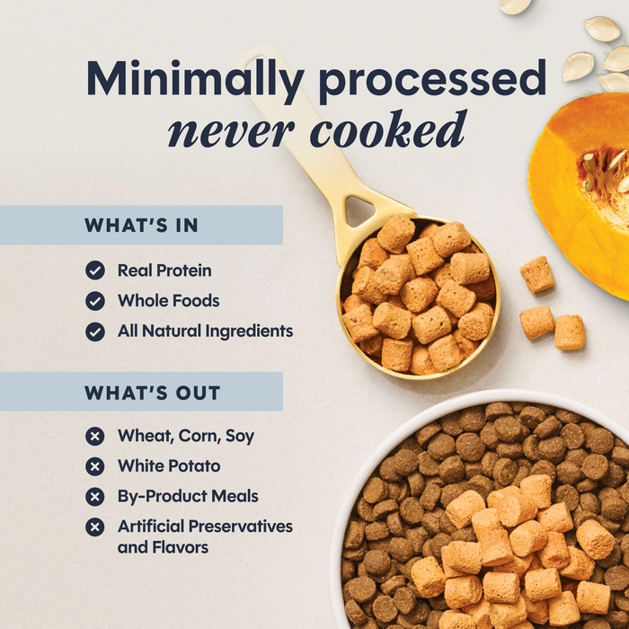 RawBoost+ Mixers Digestive Health Recipe