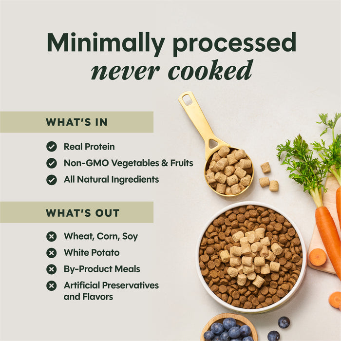 RawBoost+ Mixers Grass-Fed Beef Recipe