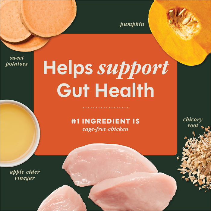 RawBoost+ Mixers Gut Health Recipe