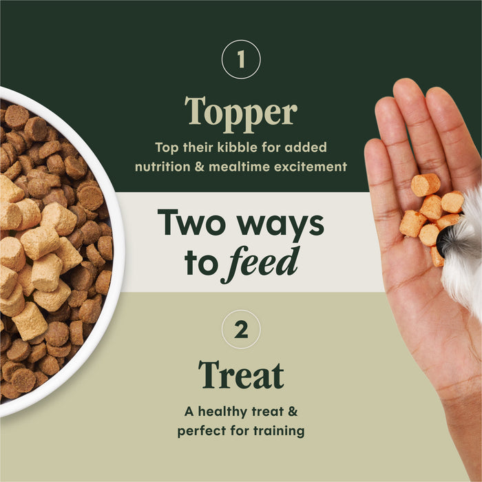 RawBoost+ Mixers Gut Health Recipe