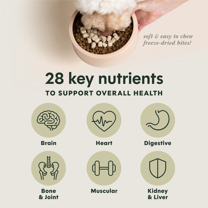 RawBoost+ Mixers Multivitamin Recipe