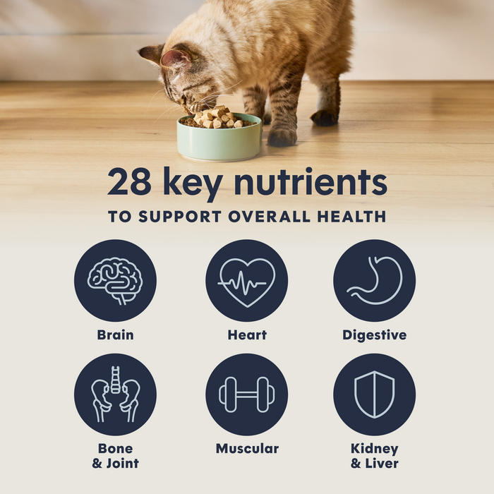 RawBoost+ Mixers Multivitamin Recipe