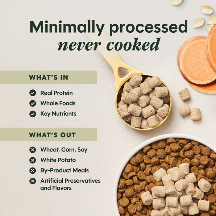 RawBoost+ Mixers Multivitamin Recipe
